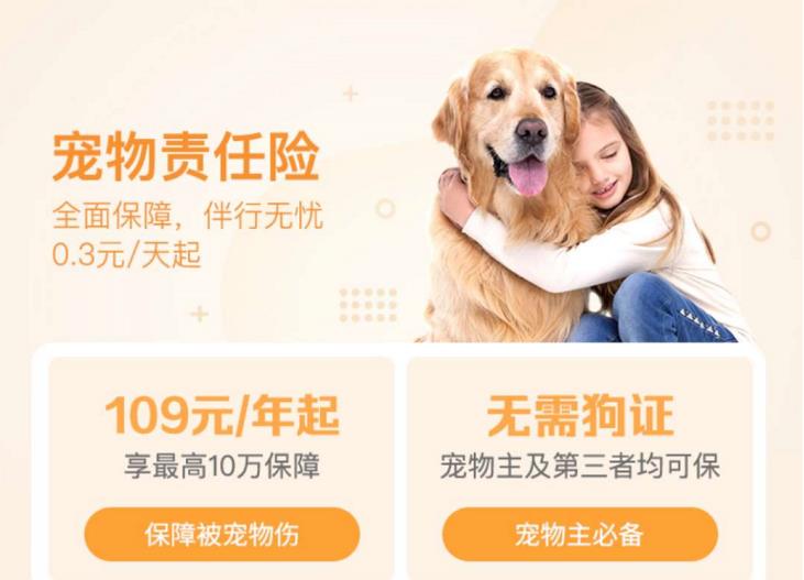 宠物闯祸，保险买单，这样的宠物责任险你听过吗？